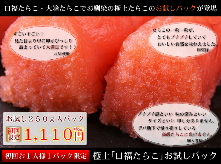 お試したらこ 特特切れ大 海鮮通販の北釧水産
