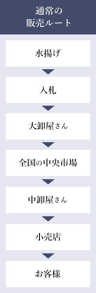 通常の販売ルート