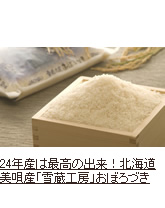 kCSYuᑠH[vڂÂ