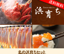 k̕l炿Zbg