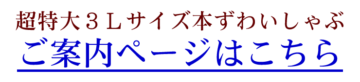 ēy[W͂