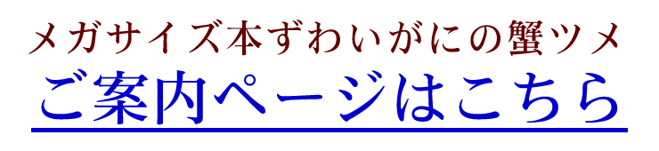 ēy[W͂