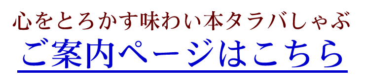 ēy[W͂