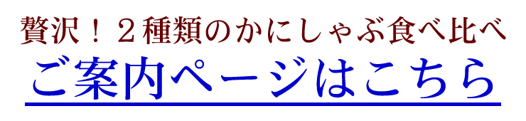 ēy[W͂