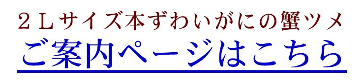 ēy[W͂