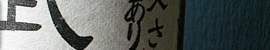 Wy[W͂