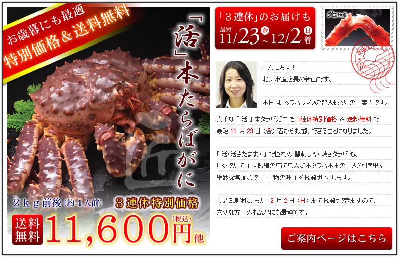 ���ē��y�[�W�͂�����