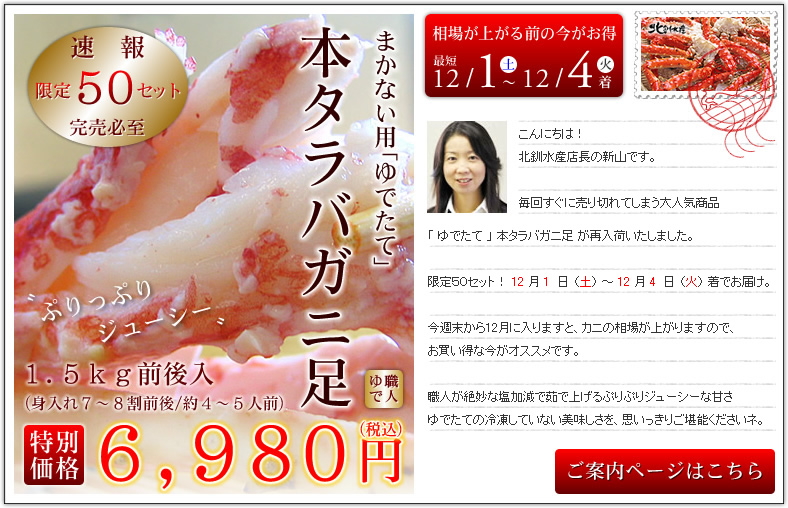 ���ē��y�[�W�͂�����