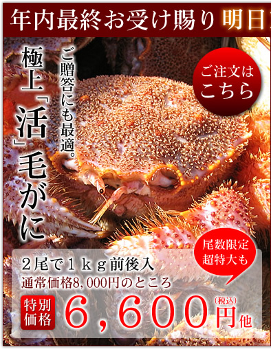 �u�I�̏��v���I�u���v�т���