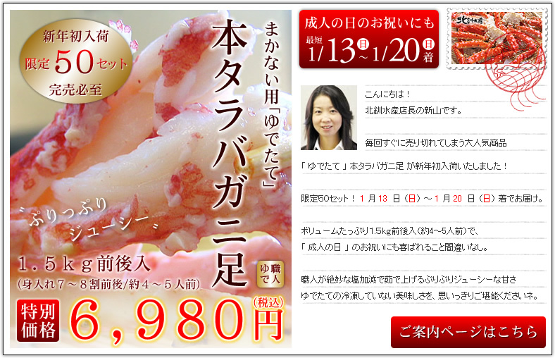 ���ē��y�[�W�͂�����