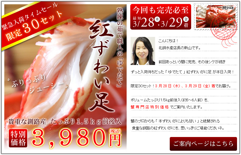 ���ē��y�[�W�͂�����