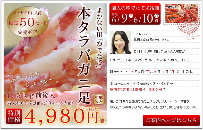 ���ē��y�[�W�͂�����