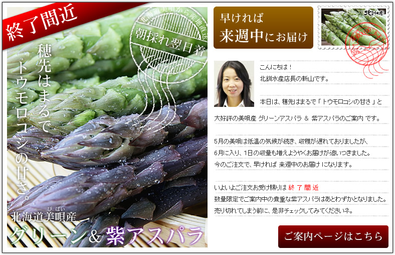 ���ē��y�[�W�͂�����