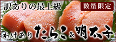 �󂠂肽�炱���h�q�����q