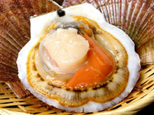 海老(エビ)・ホタテ(ほたて) 商品一覧 | 海鮮通販の北釧水産