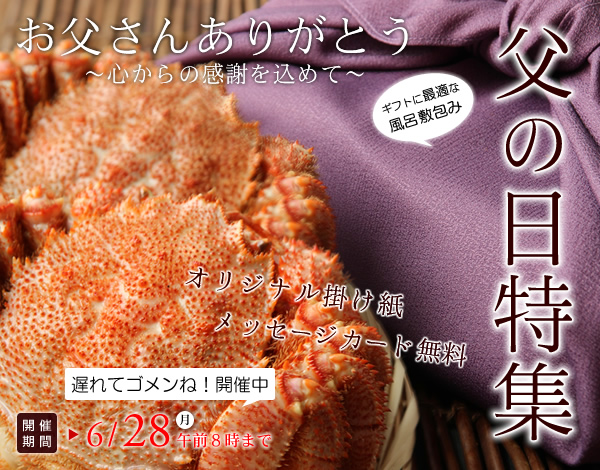 北海道名物 たこザンギ タコの唐揚げ 北海道産 海鮮通販の北釧水産 北海道名物 たこザンギ タコの唐揚げ 北海道産 海鮮通販の北釧水産