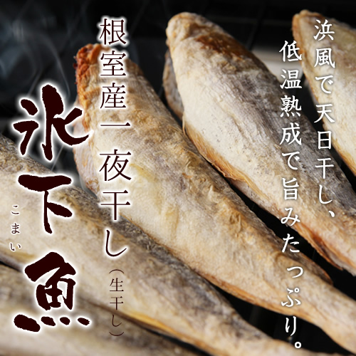 一夜干し真いか