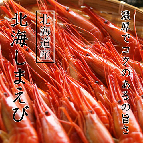 北海シマエビ