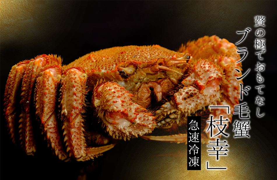 枝幸産毛ガニ