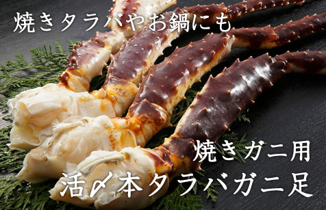 活〆本タラバガニ足