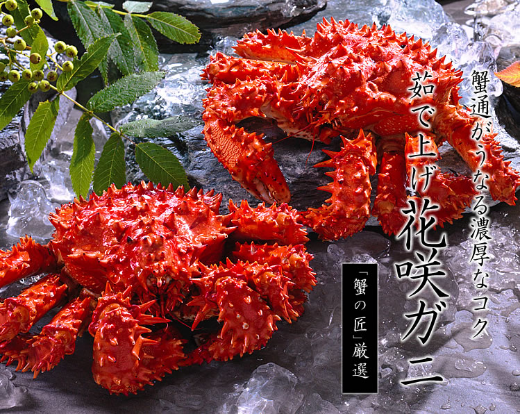 「茹で上げ」花咲ガニ