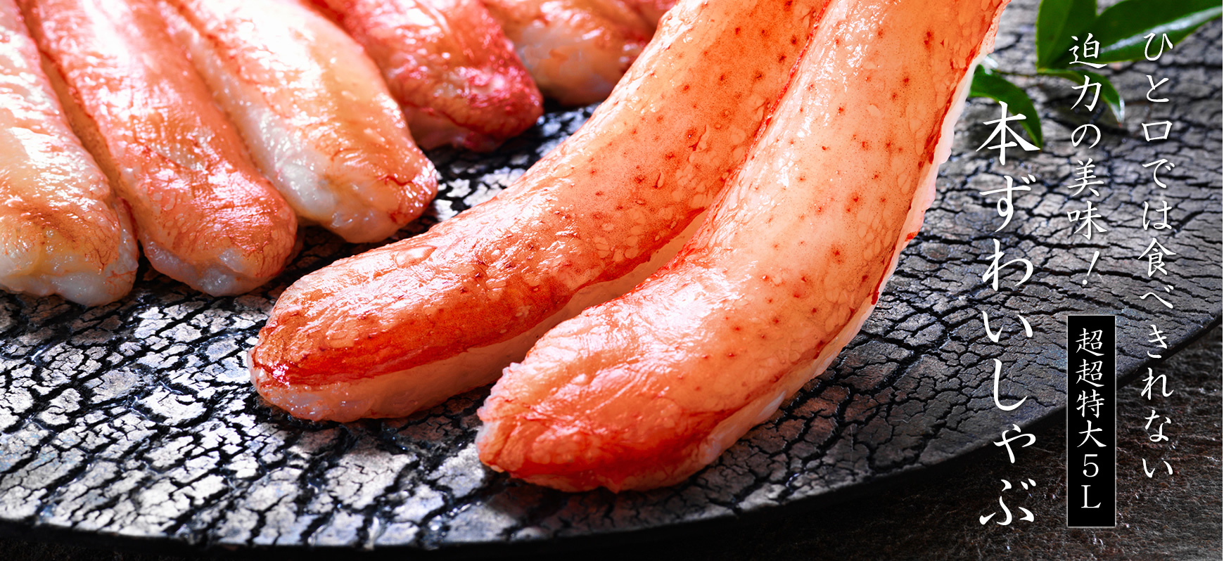 本ずわいしゃぶ超超特大5Lサイズ