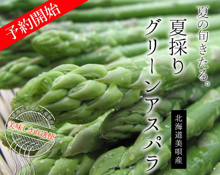 夏採りアスパラ