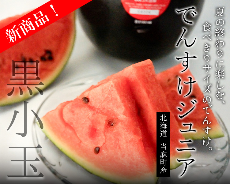 でんすけジュニアi