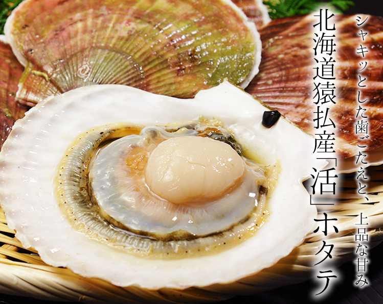 北海道猿払産活ホタテ