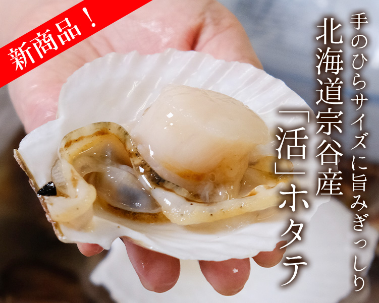宗谷産「活」ホタテ