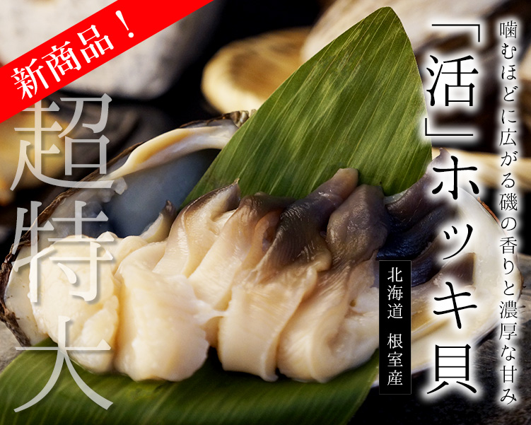 北海道根室産「活」ホッキ