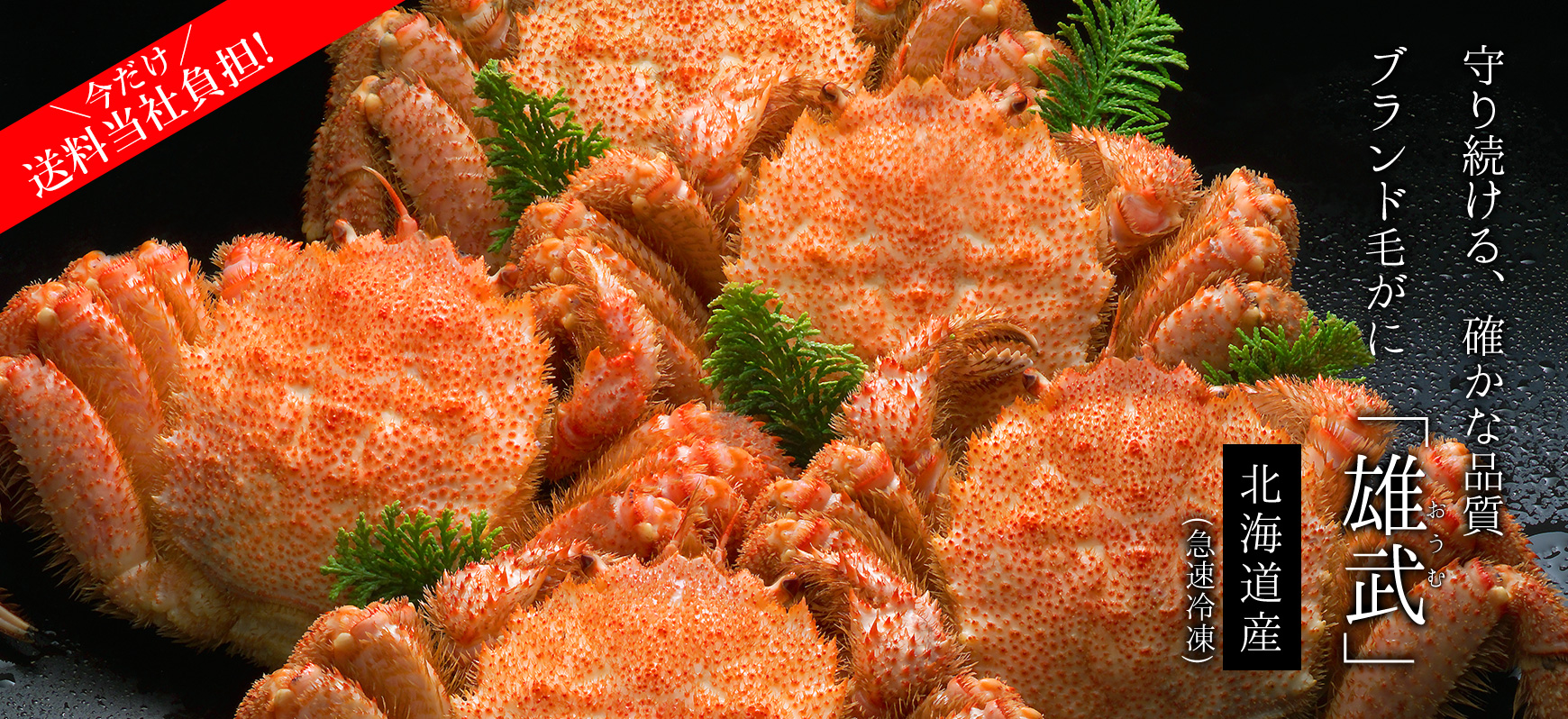 ブランド毛がに「雄武」