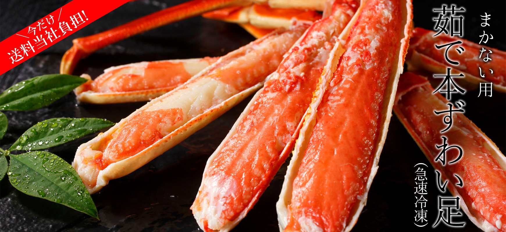 まかない本ずわいがに足