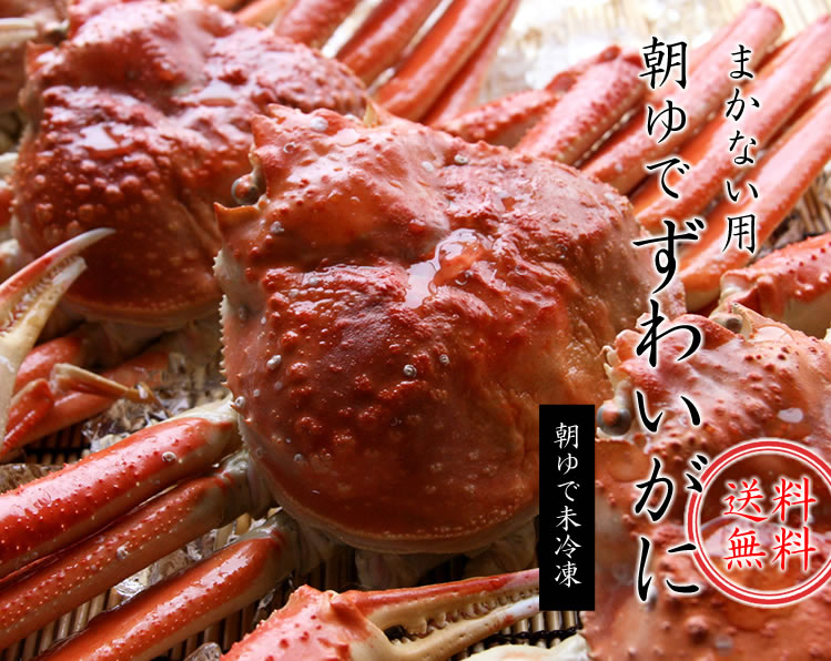 まかない「朝ゆで」ズワイガニ