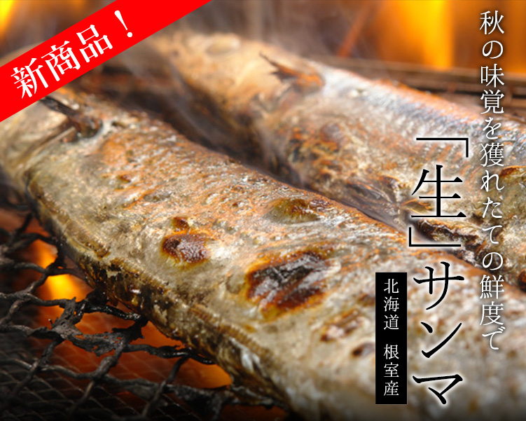 根室産生サンマ