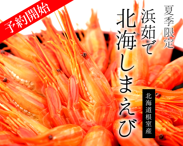 シマエビ