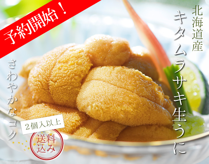 キタムラサキうに