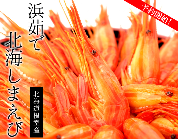 浜茹で北海シマエビ