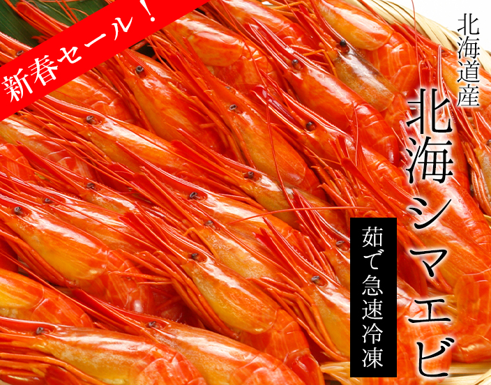 北海シマエビ