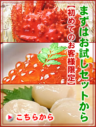 �����߂��Z�b�g
