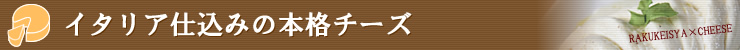イタリア仕込みの本格チーズ登場！