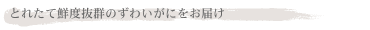 とれたて鮮度抜群のずわいがにを空輸でお届け