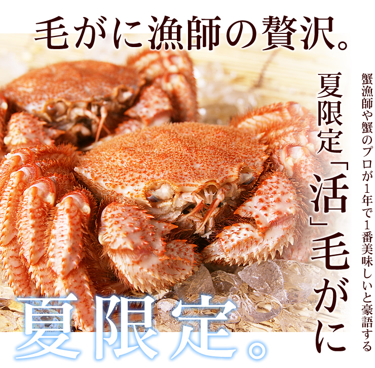 夏限定 活 毛がに 毛蟹 北海道のかに通販の北釧水産