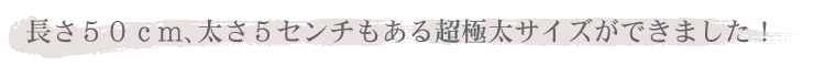 50Z`A5Z`钴ɑTCYł܂I