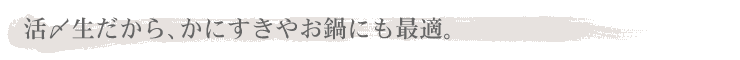 YAɂ₨ɂœKB