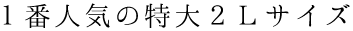 １番人気の特大2Ｌサイズ