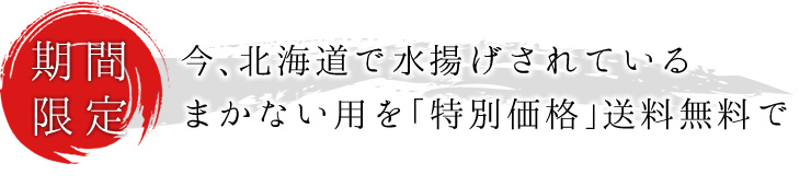 【期間限定】今、北海道で水揚げされている花咲がにのまかない用を「特別価格」送料無料でご案内。