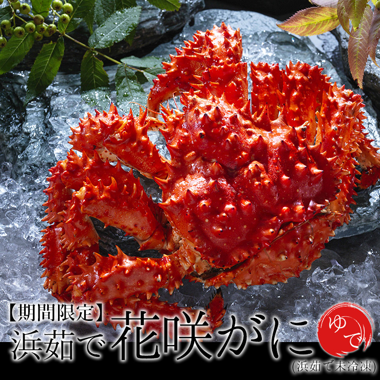 浜茹で花咲がに
