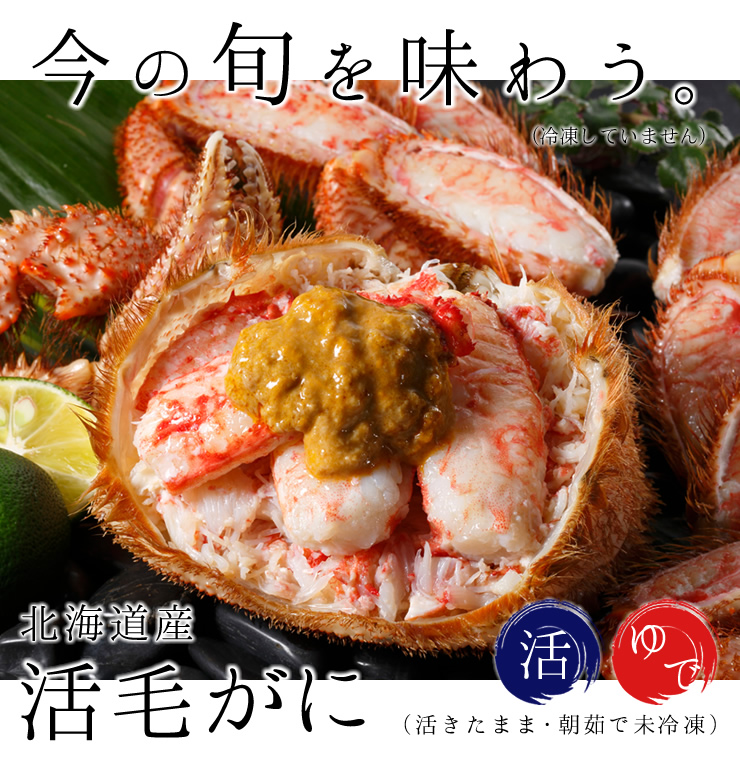 満点評価 北釧水産の 活 毛ガニの年内注文は 12月16日の午前8時までと知って大あわて の巻 蟹は祭だ