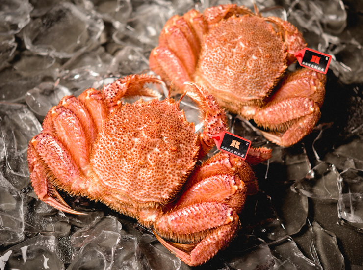 北海道産の毛ガニ（毛がに）通販 | 【活蟹専門店】北海道 北釧水産